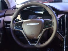 2018款 EV300 风行版