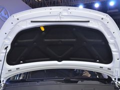 2018款 EV300 风行版