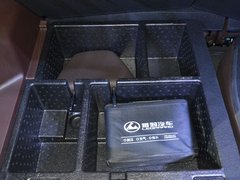2018款 EV300 风行版