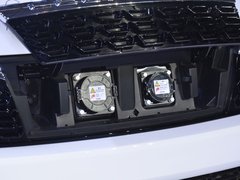 2018款 EV300 风行版