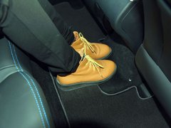 2018款 EV450 尊贵型