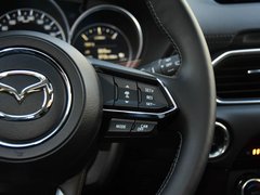 2019款 2.5L 四驅(qū)旗艦型