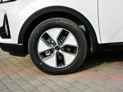 2019款  标准型