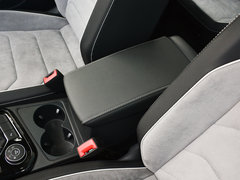2019款 380TSI 四驱尊贵型 国V