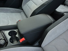 2019款 380TSI 四驱尊贵型 国V