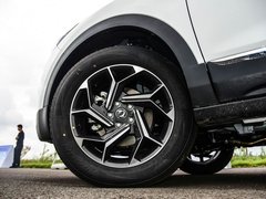 2019款 1.6T 自动AI领航型 国V