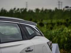 2019款 1.6T 自动AI领航型 国V