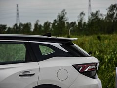 2019款 1.6T 自动AI领航型 国V