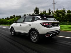 2019款 1.6T 自动AI领航型 国V