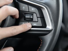 2019款 2.0i 全驱豪华版EyeSight