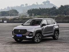 2019款 1.5T CVT超级互联潮动版 国V