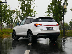 2019款 1.5T 自动尊贵型