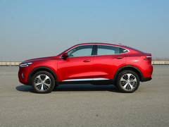 2019款 1.5T 极智潮玩版