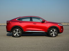 2019款 1.5T 极智潮玩版