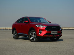 2019款 1.5T 极智潮玩版