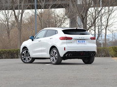 2019款 升级款 2.0T 两驱旗舰型  国V