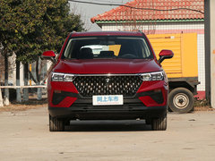 2019款 230 TID 自动豪华型 国V