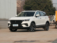2019款 230 TID 自动豪华型 国V
