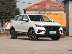 2019款 230 TID 自动豪华型 国V
