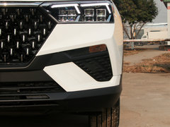 2019款 230 TID 自动豪华型 国V