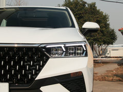 2019款 230 TID 自动豪华型 国V