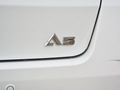 2019款 1.5L CVT尊贵版 国V