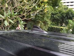 2019款 1.5T 手动蓝动精英型 国V
