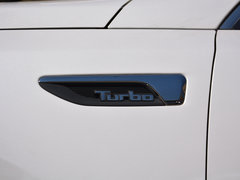 2019款 Pro 1.6T 自动豪华版 国VI