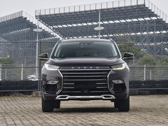 2019款 TX 1.6T 四驱铂金版