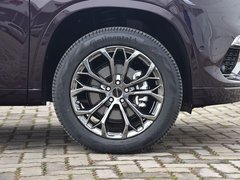 2019款 TX 1.6T 四驱铂金版