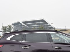 2019款 TX 1.6T 四驱铂金版