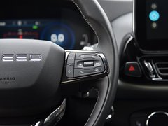 2019款 TX 1.6T 四驱铂金版