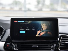 2019款 TX 1.6T 四驱铂金版