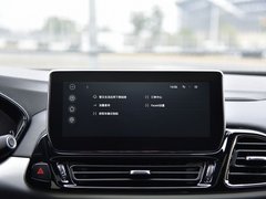 2019款 TX 1.6T 四驱铂金版