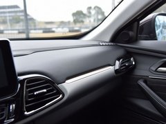 2019款 TX 1.6T 四驱铂金版