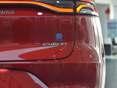 2019款 EV600D 四驱智联创睿型