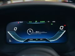 2019款 EV600D 四驱智联创睿型