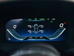 2019款 EV600D 四驱智联创睿型