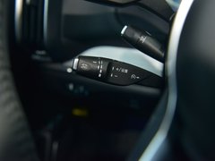 2019款 EV600D 四驱智联创睿型