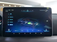 2019款 EV600D 四驱智联创睿型