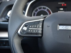 2019款 红标 1.5GDIT 自动冠军版