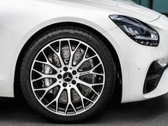 2021款 AMG GT Black Series