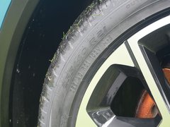 2021款 Pilot edition 领航版 530km