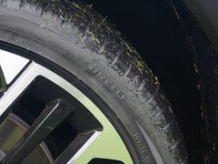 2021款 Pilot edition 领航版 530km