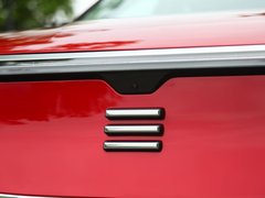 2021款 Pilot edition 领航版 530km