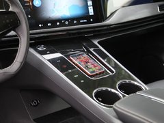 2021款 Pilot edition 领航版 530km