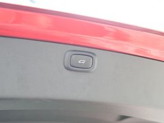 2021款 Pilot edition 领航版 530km