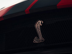 2020款 2.3T EcoBoost 黑曜魅影特别版