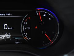 2019款 1.6T 自动两驱豪华版