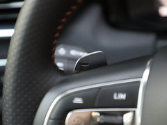 2019款 高能版 2.0T 自动两驱劲Pro版 国VI
